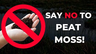 Why I Stopped Using Peat Moss