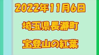 2022年11月6日 埼玉県長瀞町宝登山の紅葉