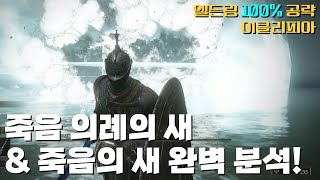 M96. 죽음의 새 \u0026 죽음 의례의 새 완벽 분석! | [이클리피아] 엘든링 100% 공략!