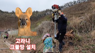 멧돼지, 고라니 피해 예방 그물망 설치 정부 보조금과 200m 설치 비용은?