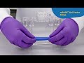 mPAGE® Gel Caster and Mini Gel System
