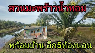 ขายที่ดินพร้อมบ้านสวนมะพร้าวน้ำหอม มะม่วง 11ไร่กว่า ยกแปลง 3.7ล้าน อ.เมือง จ.สระแก้ว