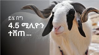 4.5 ሚሊዮን ብር የሚሸጡት የበግ ዝርያዎች