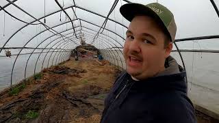 Cleaning a FILTHY greenhouse!