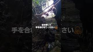 超波動　七大龍王神社文蔵之瀧１分浄化映像　この動画を見た瞬間から全てが浄化され好転し始めます。#七大龍王#龍神波動