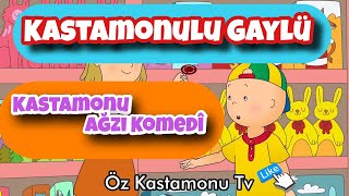 Kastamonu Gaylü Oyuncakçı ( Caillou ) #Sağlar El Sanatlarında😊 #Kastamonu