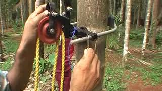 ARECANUT TREE CLIMBER WITH HARVESTING DEVICE