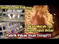 PAKAN MURAH AYAM KAMPUNG‼️SOLUSI PETERNAK RUMAHAN‼️