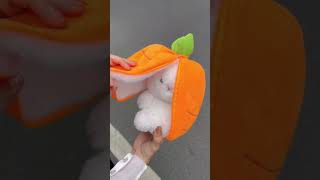 Carrot Bunny plush toy #plushies #stuffedanimals