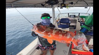 Huge Trout Caught 70km Off The coast