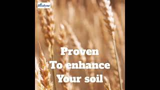 Biodyne 401   Enhance your soil