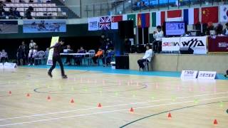 Namwon Korea Open 2012 Freestyle classic slalom senior men 1st KSJ