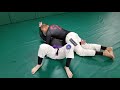 jiujitsu global san dimas 14 submissions in 3 minutes