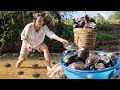 Harvesting GIANT CLAM, Harvesting DUCKS 🦆...Go To Market Sell | Farm Life: Cooking & Gardening