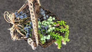 個性あふれる空間の装飾ディスプレイに「ハンギンググリーンバスケット」の作り方