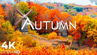 11 HOURS of 4K Enchanting Autumn Nature Scenes + Relaxing Piano Music for Stress Relief