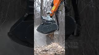 Alpha Forestry mulcher in action