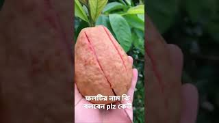 #ফলটির #নাম #কি #বলবেন #plz #কেউ #village_bhoj  #kaaba #sharif #viral #shorts #islamick #sad #sadsta