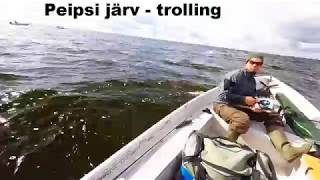 Peipsi järv, trolling