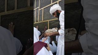 2k24 #hajj2024 #madina #madinah #pakistan #saudiarabia #shortvideo #shorts makkah live madina live