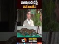 మనిషి టచ్ చేస్తే ఇక అంతే tigercubs tigeroperation shorts 10tv