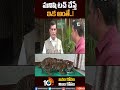 మనిషి టచ్ చేస్తే ఇక అంతే tigercubs tigeroperation shorts 10tv