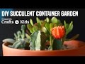 DIY Succulent Container Garden | Crafts for Kids | PBS KIDS for Parents