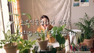 [우리집 식물소개] 가전제품보다 식물이🪴더 많은 신혼집🏠 희동이가 키우는 식물🌴을 소개합니다! /식물컨텐츠 첫걸음!