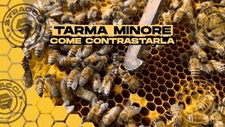 TARMA MINORE - Ecco Spiegato come Contrastarla!