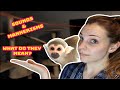 Baby Squirrel Monkey oLLie Sound & Mannerism Meanings