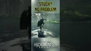 Hogwarts Legacy Just Got New Features | Hands On Gameplay Harry Potter Game