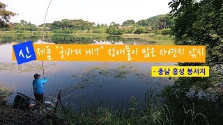 [자연지] 110.신제품 '굿바디 HIT' 장애물이 많은 자연지 낚시 - 충남 홍성 봉서지(2019.6.4)