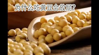 为什么吃黄豆会放屁？