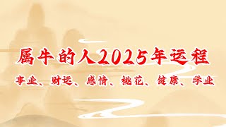 属牛的人2025年运程 生肖牛2025年事业、财运、感情、桃花、健康、学业运势详解  #运势 #运程 #生肖牛 #2025年 #生肖運程 #生肖運勢