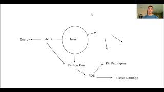 Key Roles of Iron in Health and Disease - Functional Nugget #142