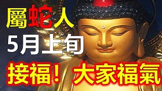 2024年生肖屬蛇人是皇帝命，預測十二生肖2025年生肖蛇運勢全解，屬蛇人的性格特點，蛇是十二屬相中最頑強的屬相，2024十二生肖屬蛇人整體運勢，生肖蛇的運勢不錯，十二生肖運勢運程大分析。往期視頻直播