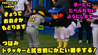 つばみ　今日で大阪に戻るトラッキーと試合前にかたい握手！　2023/9/2 vs阪神