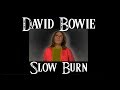 THE WORLDS BEST BOWIE IMPRESSIONIST STEVIE RIKS -  SLOW BURN