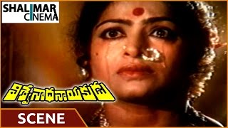 Viswanatha Nayakudu || Krishna Mother Best Sentiment Scene || Krishna, Jaya Prada || Shalimarcinema