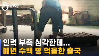 인력 부족 심각한데 쫓겨난다…매년 수백 명 억울한 출국 / SBS 8뉴스