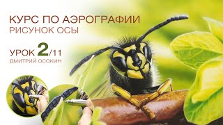 Рисунок осы. Ч 2/11. Курс по аэрографии. Дмитрий Осокин - уроки. Аэрография.