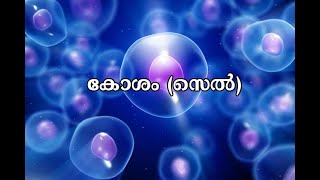 Cells | Animal cell | Plant cell | കോശങ്ങൾ |  ജന്തുകോശം  |സസ്യകോശം