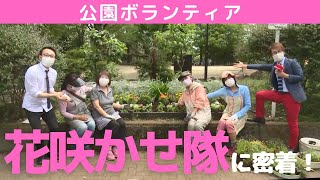 いきいき公園ボランティア！花咲かせ隊【令和3年7月1日号】すぎなみスタイル