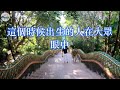 從出生時辰看你一生大運財運 性格 貴人【佛語】 運勢 風水 佛教 生肖 佛語