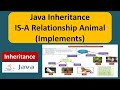 Java Inheritance IS-A Relationship Animal (Implements) | Java Tutorial
