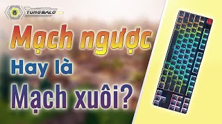 MẠCH NGƯỢC và MẠCH XUÔI khác nhau như thế nào? Thực hư việc KEYCAP CHERRY BỊ CẤN trên mạch ngược?