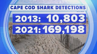 New shark warning at popular areas around the U.S.