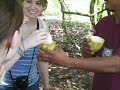Belize Service Learning in Punta Gorda