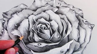 How to Draw a Realistic Rose: Time Lapse