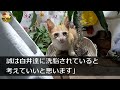 【感動★総集編】株主達に裏切られ社長解任になった美人社長➡︎「俺は社長の右腕ですよね？」と会社を設立。隠していた能力を解放し、事業を成功させると…社長「あなた一体何者なの？」